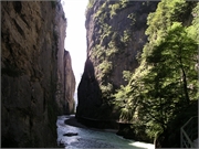 Walter 08.07.08-02.01.200933